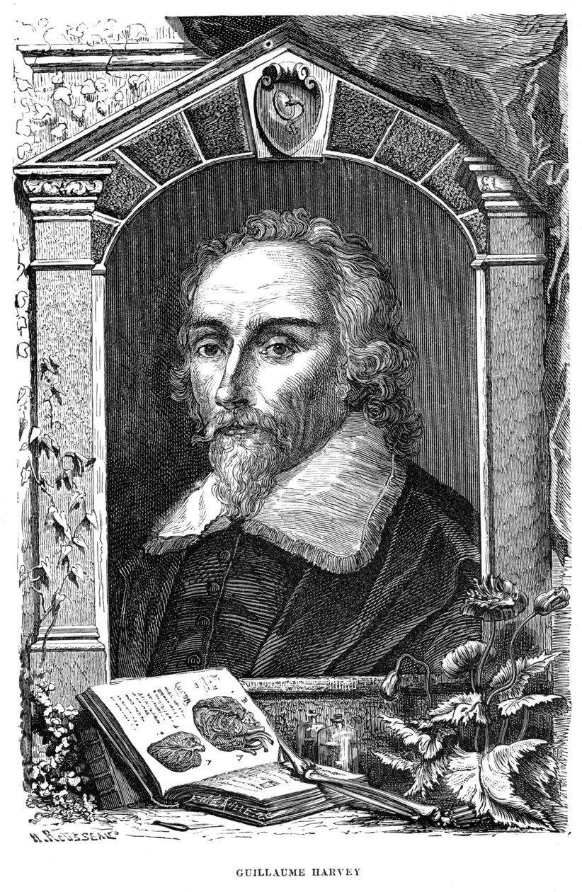 William Harvey 1578-1657 Angielski lekarz, ok. XVII w. autorstwa Unbekannt