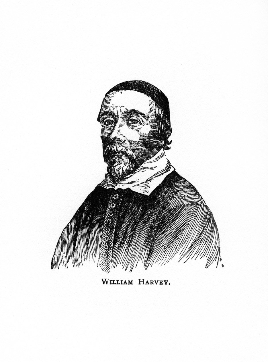 William Harvey, XVII-wieczny angielski lekarz, XX wiek autorstwa Unbekannt