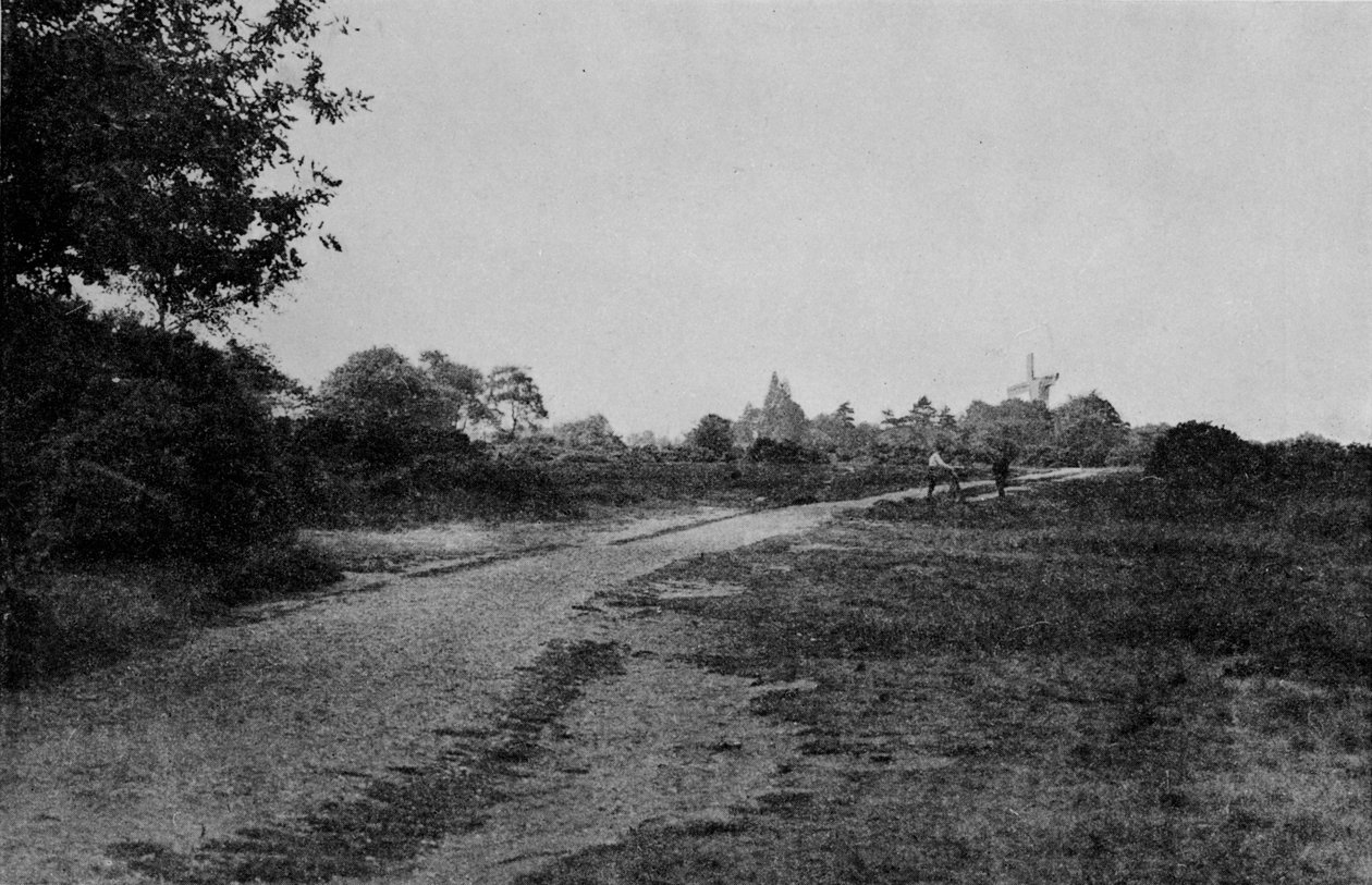 Wimbledon Common i wiatrak, ok. 1900, 1912 r autorstwa Unbekannt