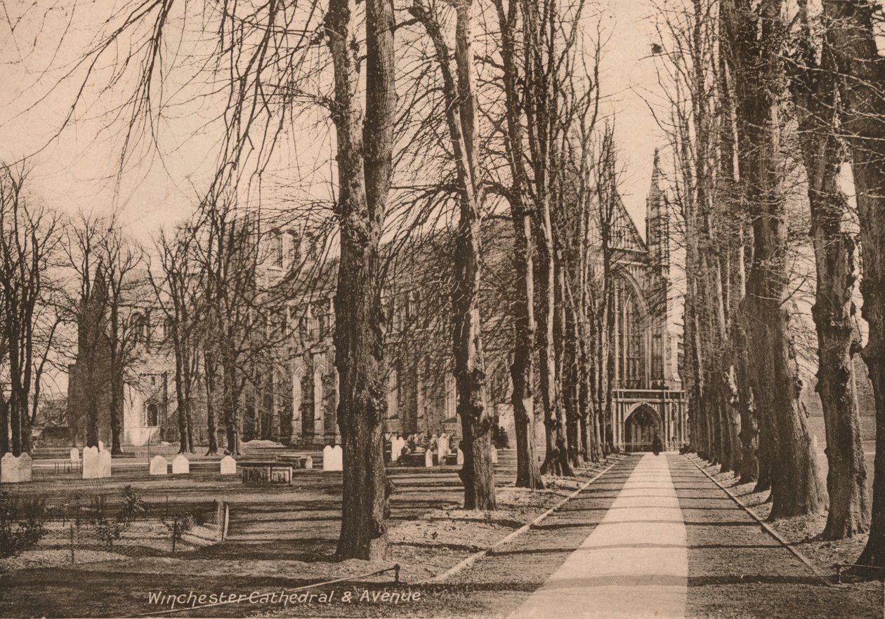 Katedra i Avenue w Winchester, Hampshire, początek XX wieku. autorstwa Unbekannt