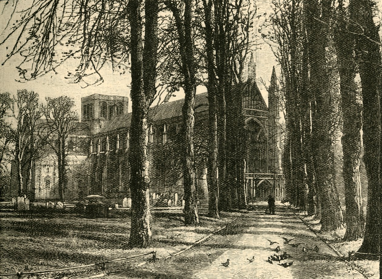 Katedra w Winchester , od strony północno-zachodniej, 1898. autorstwa Unbekannt