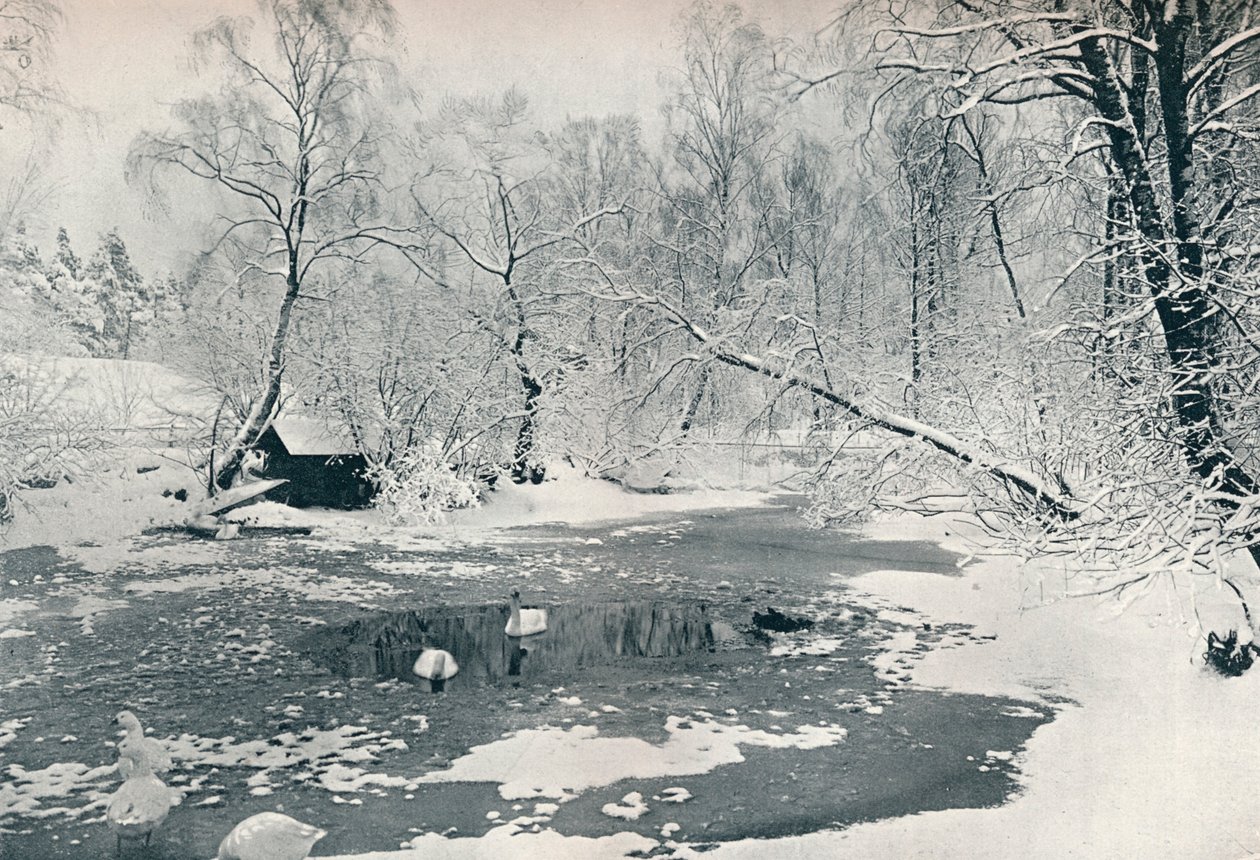 Zimowy widok skansenu w Skansen, ok. 1900 autorstwa Unbekannt