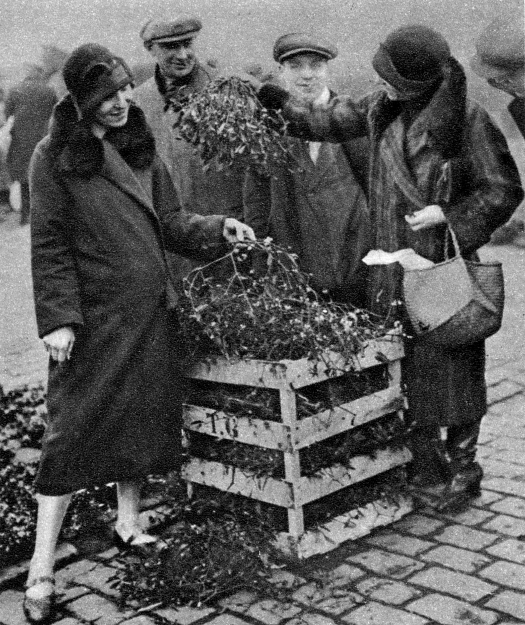 Kobiety wybierające pęczki jemioły, Caledonian Market, Londyn, 1926-1927 autorstwa Unbekannt