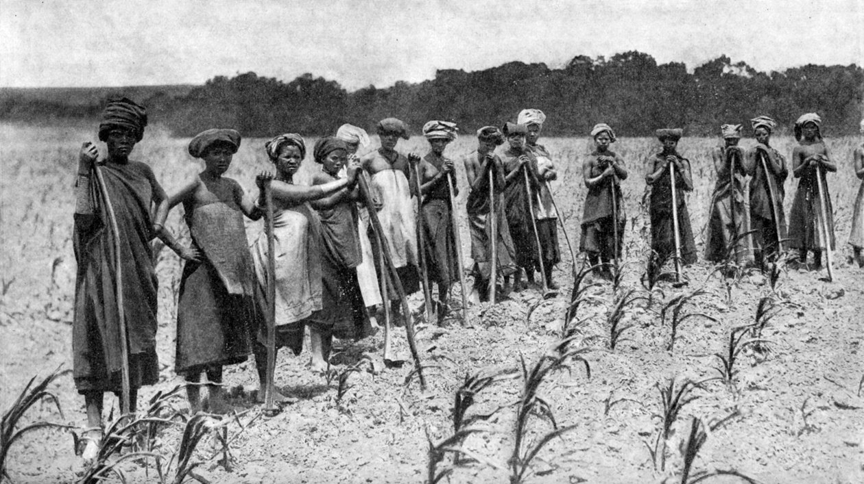 Kobiety spulchniające pole kukurydzy, Republika Południowej Afryki, ok. 1923 r. autorstwa Unbekannt