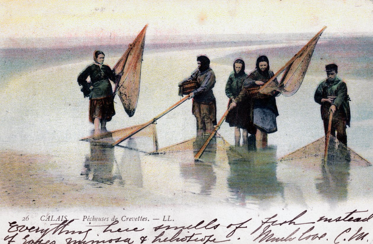 Rybaczki krewetek, Calais, 1905 autorstwa Unbekannt