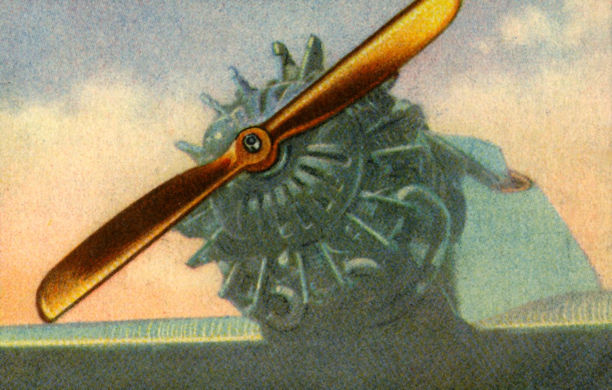 Drewniane śmigło lotnicze firmy Schwarz Propeller-Werk, 1932. autorstwa Unbekannt