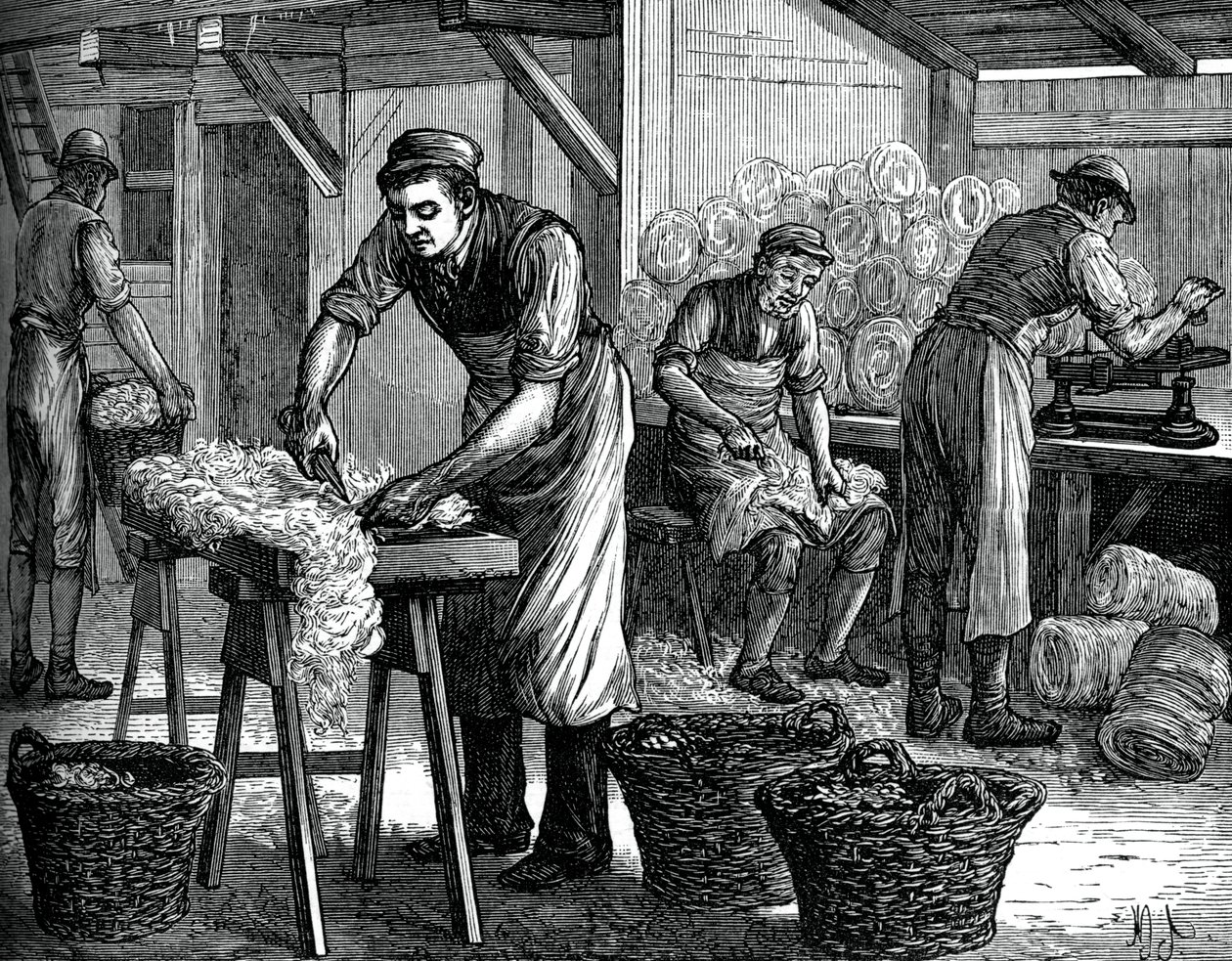 Sortowniki wełny, ok.1880 autorstwa Unbekannt