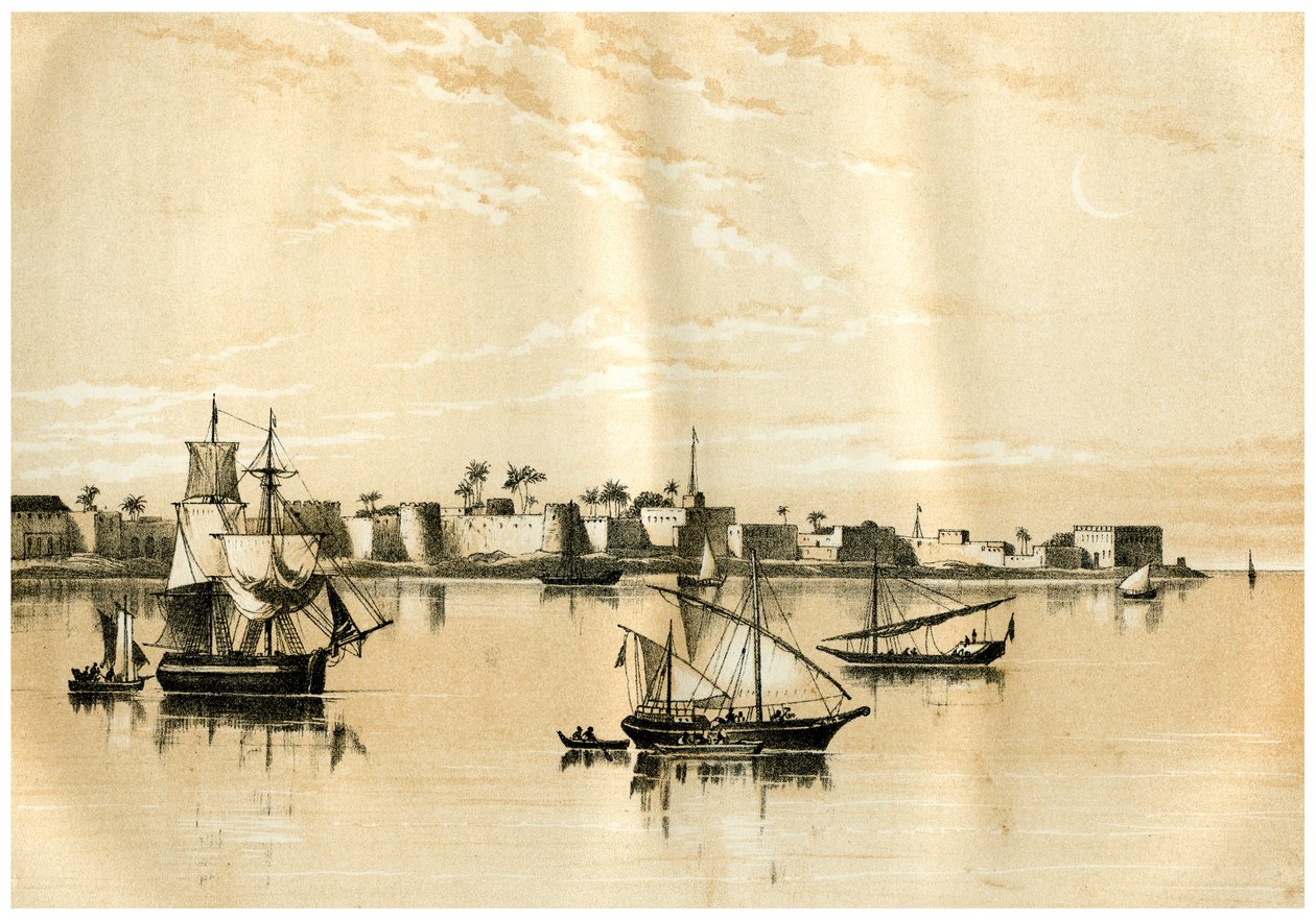 Zanzibar od morza, 1883 autorstwa Unbekannt