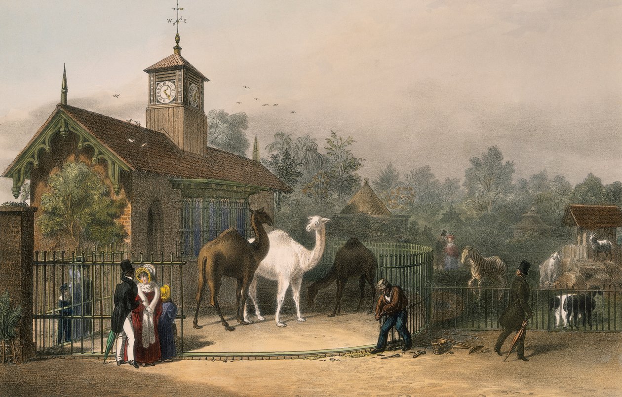 Ogrody Zoologiczne, Regent