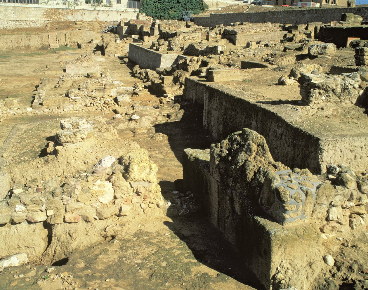 Pozostałości archeologiczne greckiej kolonii, VI-V wiek p.n.e autorstwa Unbekannt Unbekannt