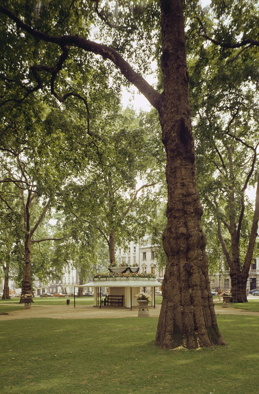 Berkeley Square, Londyn W1 autorstwa Unbekannt Unbekannt