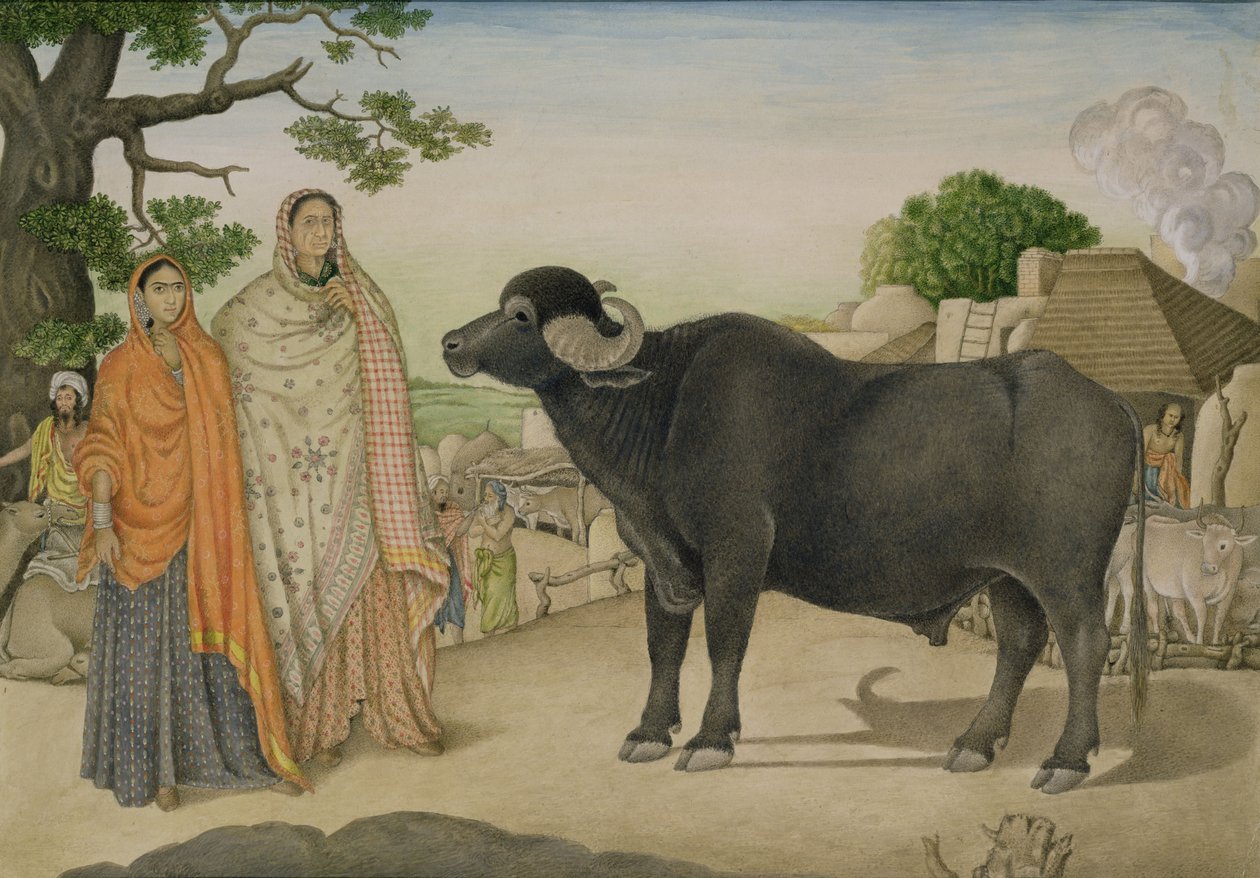 Dwie wiejskie kobiety i bawół we wsi Rania, ok. 1816, Indian autorstwa Unbekannt Unbekannt