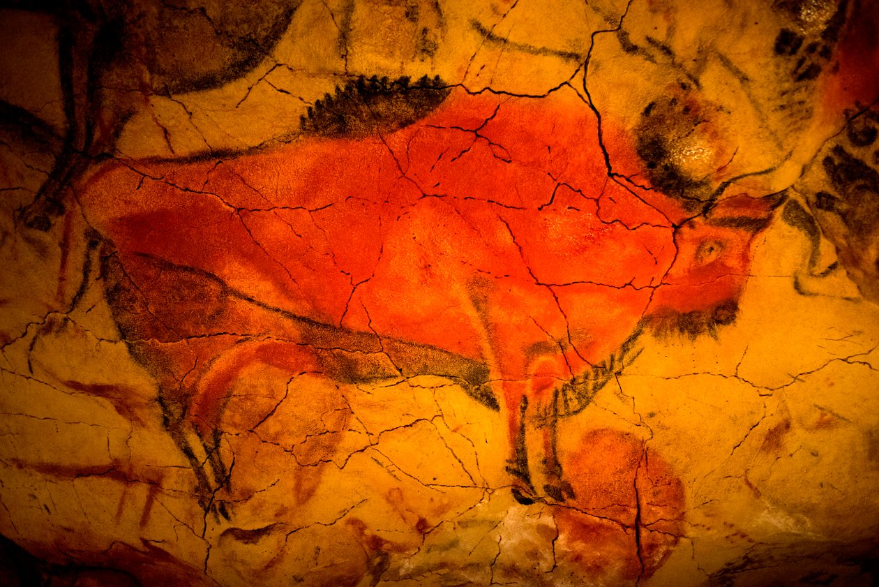 Malarstwo żubra w jaskiniach Altamira, muzeum górnego paleolitu, Santander, Kantabria, Hiszpania autorstwa Unbekannt Unbekannt