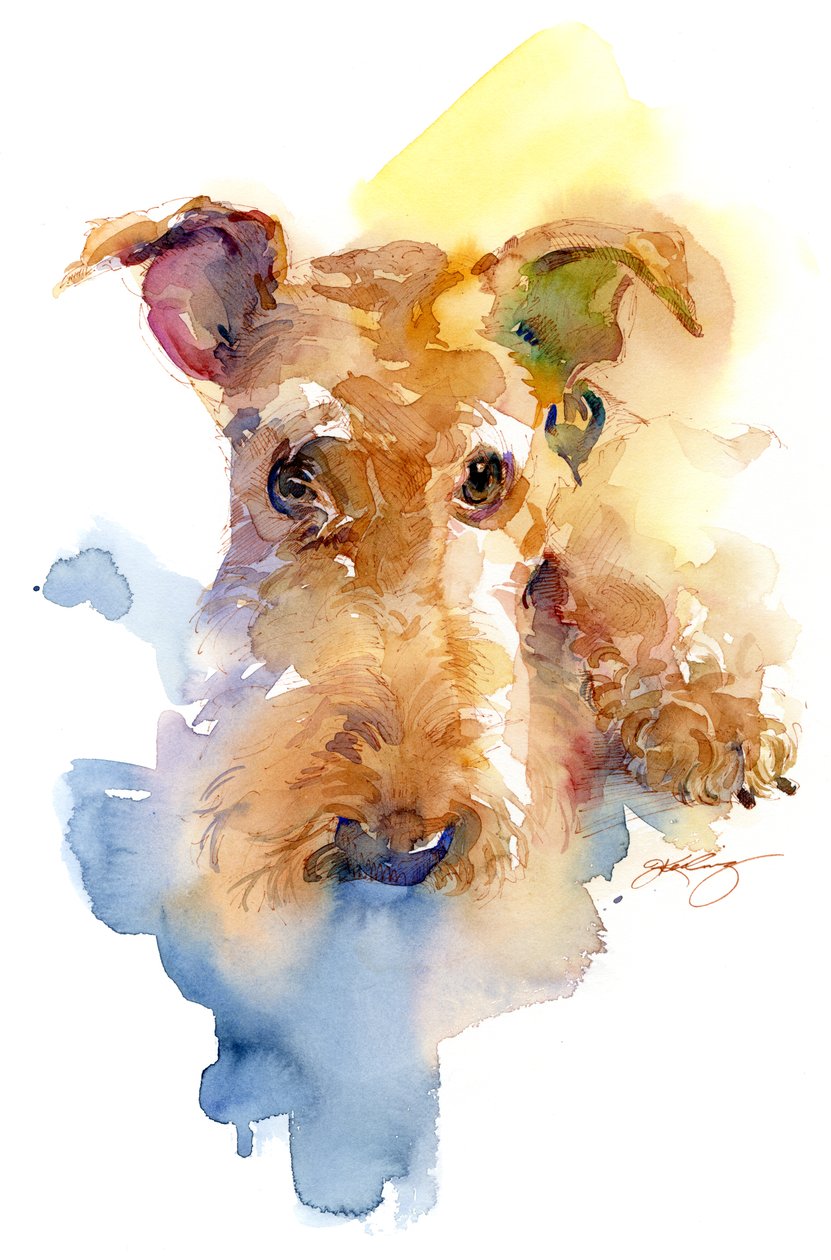 Portret Dextera, 2015, autorstwa Unbekannt Unbekannt