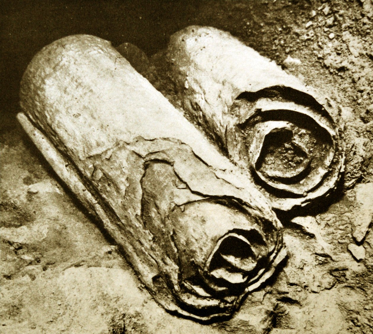 Wykopaliska zwojów znad Morza Martwego, 1950 autorstwa Unbekannt Unbekannt