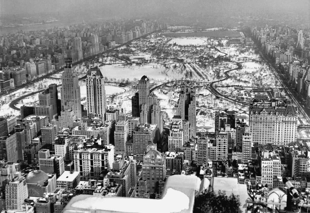 Widok na centrum miasta i Central Park autorstwa Unbekannt Unbekannt