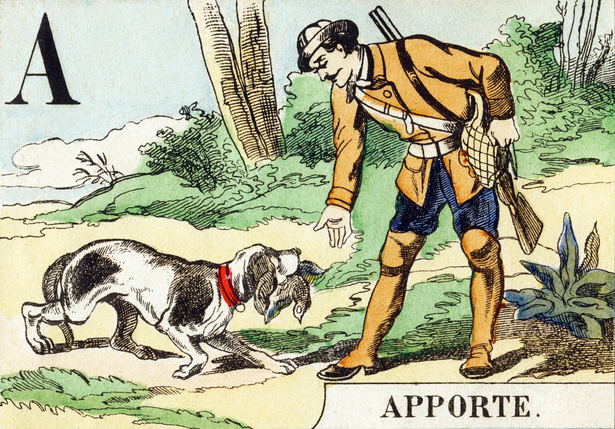 A : Apporte - Alfabet myśliwski, c.1890 (rycina) autorstwa Unbekannt