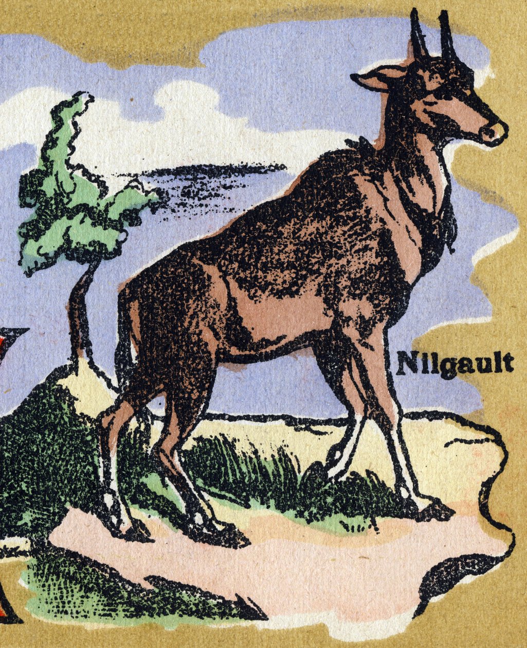 Nilgault. Ilustrowany alfabet. Obrazy ponownie zjednoczone w Jarville-Nancy na początku XX wieku. Wymiary: 40 x 29 cm. Litografia na bistrowym tle autorstwa Unbekannt