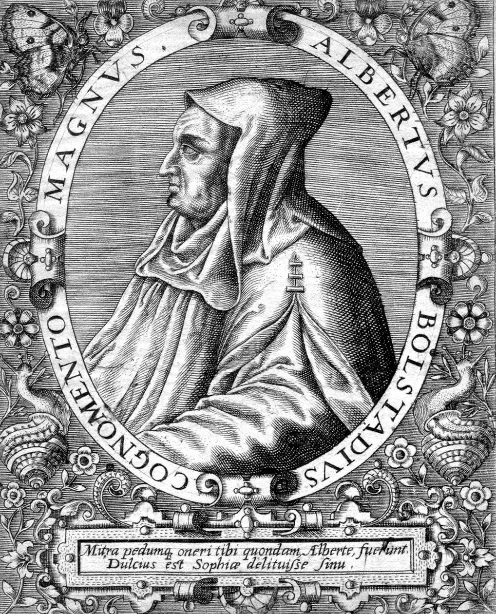 Albert Magnus (1193/1206-1280) niemiecki mnich dominikański, naukowiec, filozof i teolog, rycina autorstwa Unbekannter Künstler