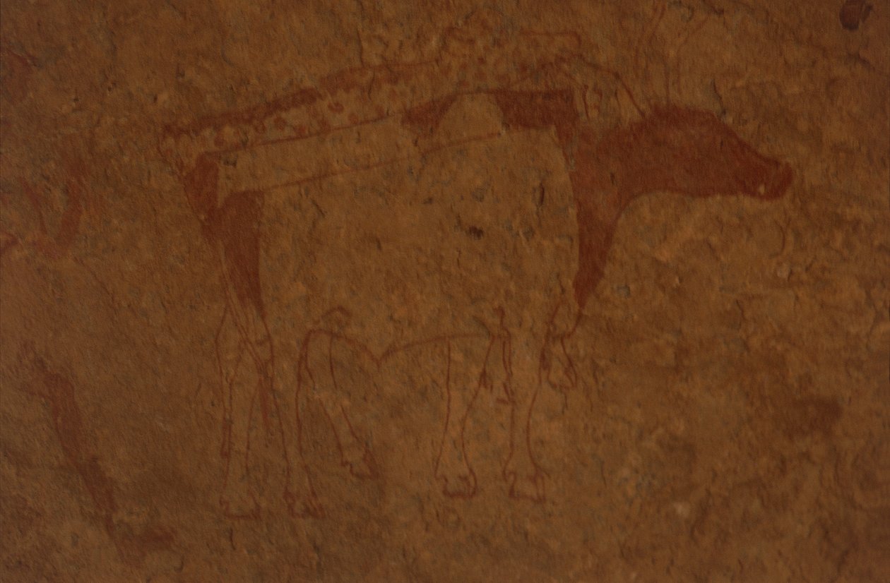 Algieria, Sahara, Park Narodowy Tassili-n-Ajjer, miejsce Sefar, malowidło naskalne przedstawiające byka. autorstwa William M. Timlin
