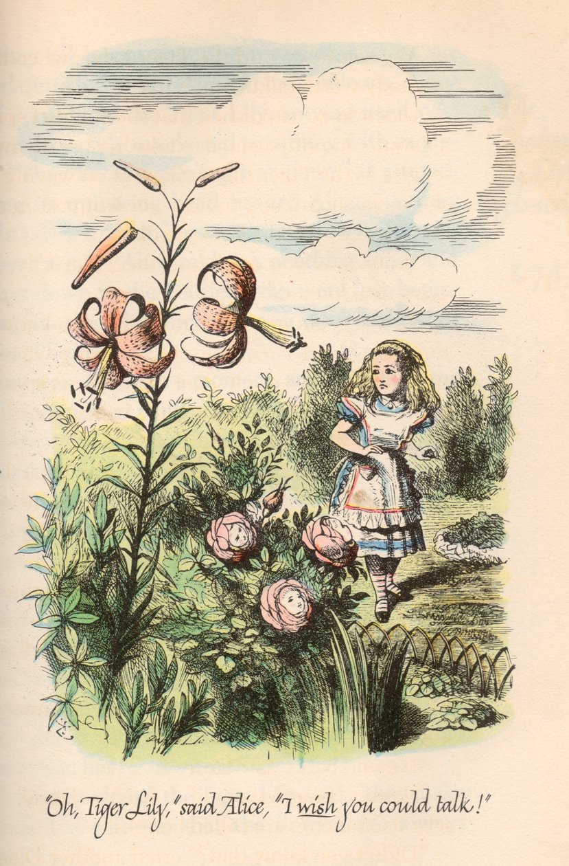 Alicja w krainie czarów i po drugiej stronie lustra — Lewis Carroll, ilustrowane przez Johna Tenniela autorstwa Unbekannt