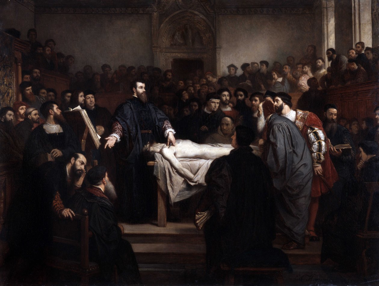 Leksykon anatomii. Andre Vesale (1514-1564), flamandzki anatom (Andrea Vesalius lub Andries Van Wesel) w Padwie (Padova), Włochy autorstwa Unbekannter Künstler