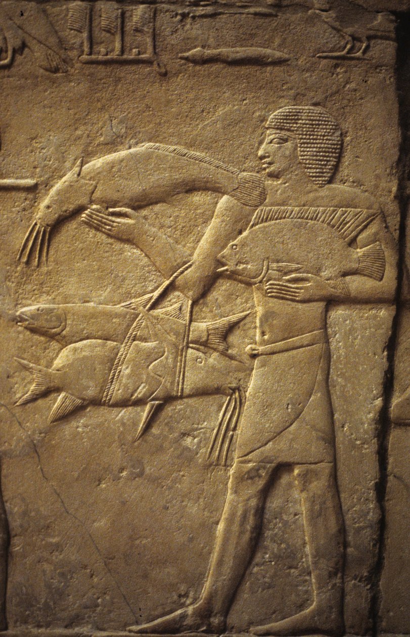 Starożytny Egipt: Sakkara (lub Sakkara lub Sakkara): nekropolia Starego Cesarstwa, grób szlachcica. Fragment płaskorzeźby przedstawiający rybaka. autorstwa Leopold Blonder