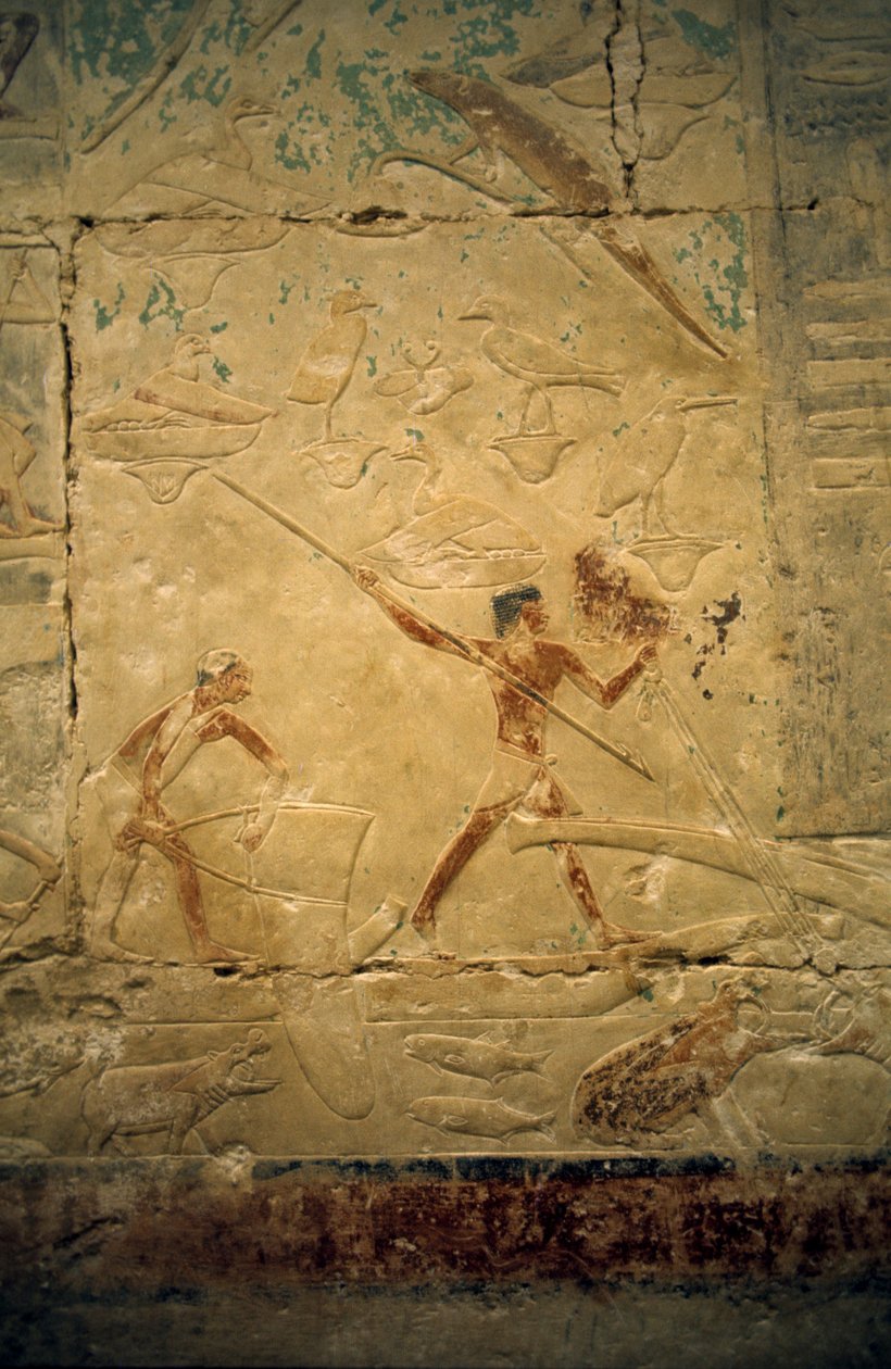 Starożytny Egipt: Sakkara (lub Sakkara lub Sakkara): nekropolia Starego Cesarstwa, grób szlachcica. Fragment płaskorzeźby przedstawiający scenę wędkowania. autorstwa Leopold Blonder