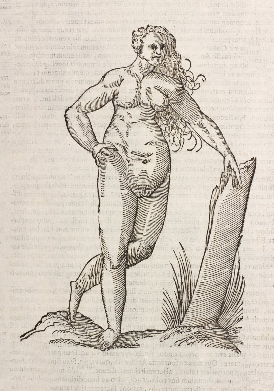 Androgynos autorstwa Unbekannt