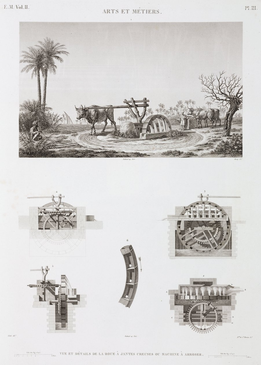 Animal Power Nawadnianie zasilane przez zwierzęta, Egipt, ok. 1798 autorstwa Unbekannt