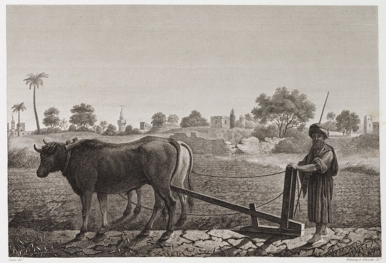 Rolnictwo, Orka Orka wołami, Egipt, ok. 1798 autorstwa Unbekannt