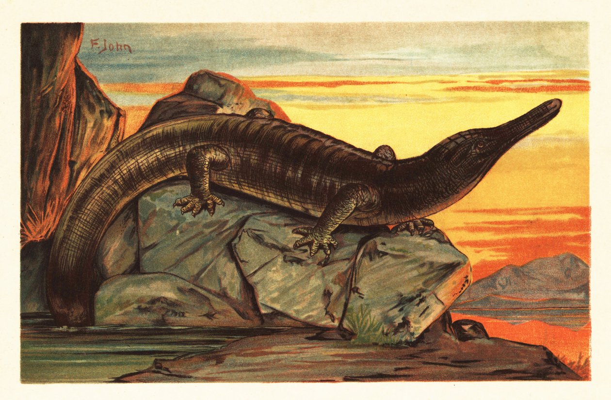 Archegosaurus decheni wygrzewający się na skale.1908 (litografia) autorstwa Unbekannter Künstler
