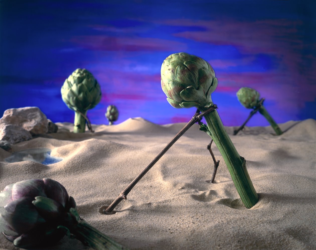 Art-ichoke (Dali) 1996 (zdjęcie) autorstwa Unbekannter Künstler