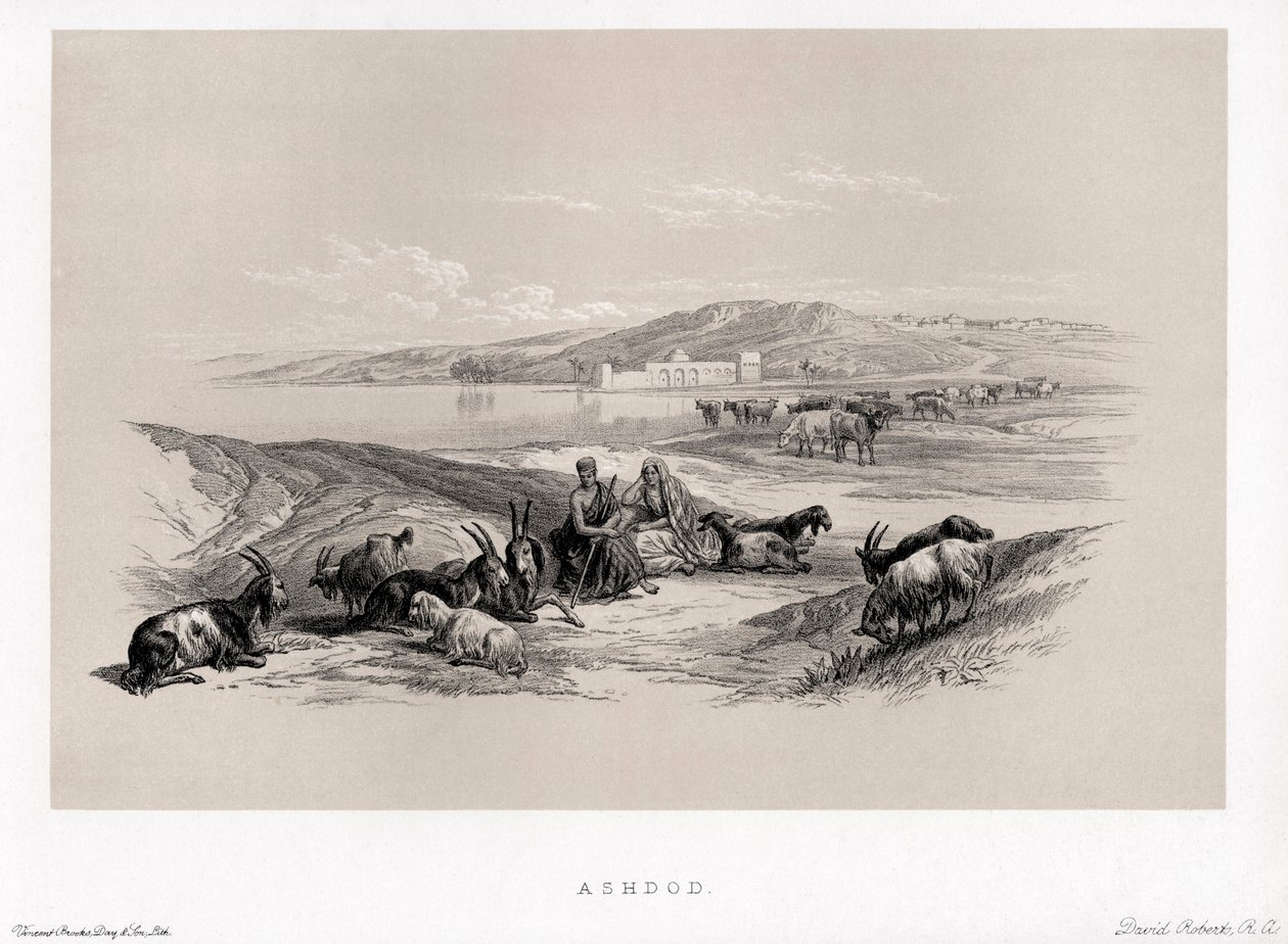Ashdod By David autorstwa Unbekannter Künstler