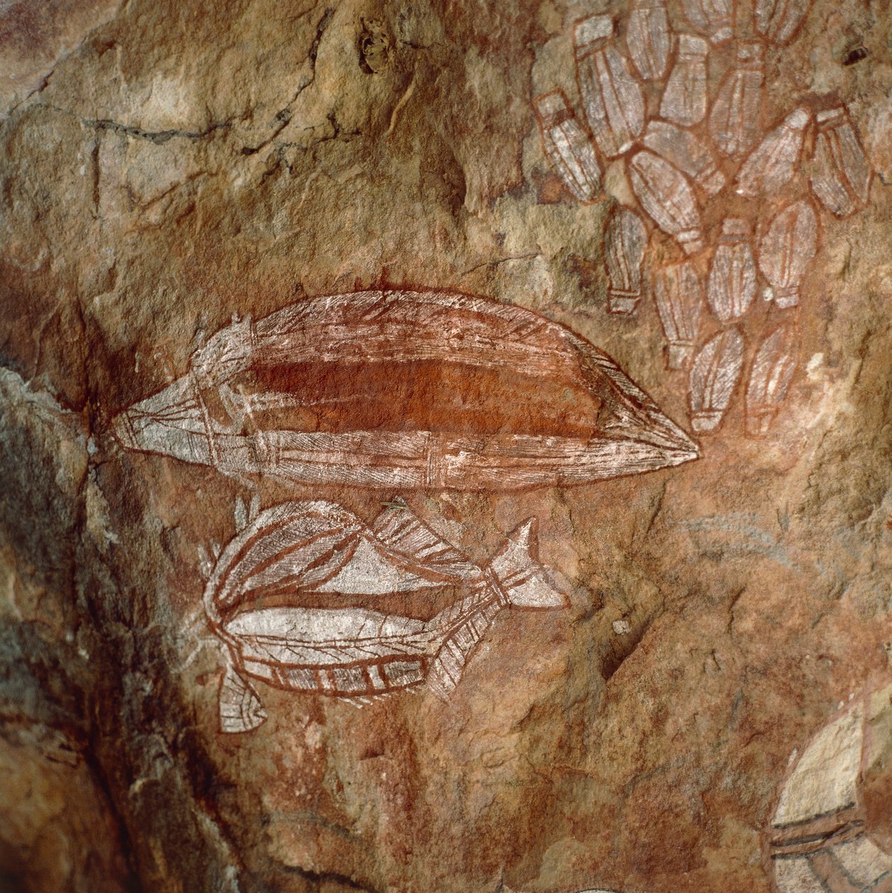 Australia, Terytorium Północne, Ziemia Arnhem, Park Narodowy Kakadu, Skała Nourlangie, Malowidła naskalne Aborygenów autorstwa Benjamin Baud