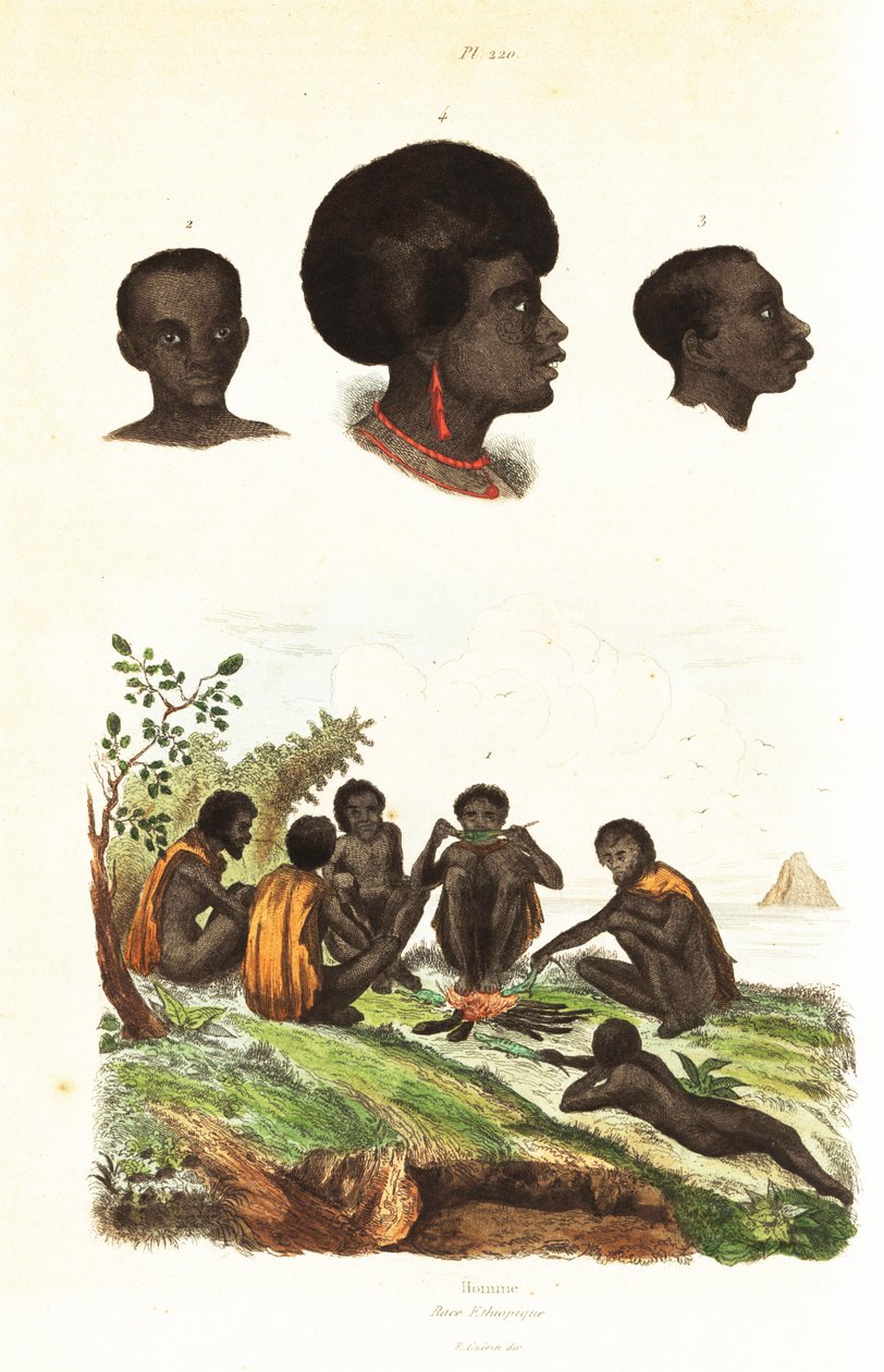 Australijscy Aborygeni i głowy tubylców z Waigeo, Papua Zachodnia 1834-1839 (rycina) autorstwa Unbekannter Künstler