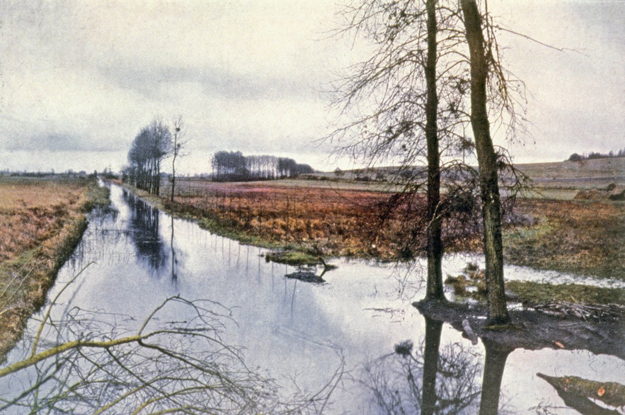 Bitwa nad Marną, bagna Saint Gond autorstwa Unbekannter Künstler