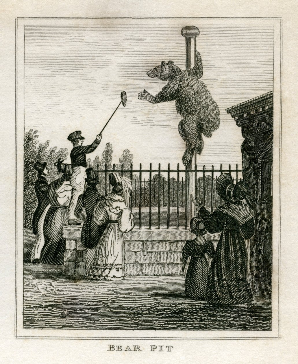 Niedźwiedzia jama - ogród zoologiczny Regent