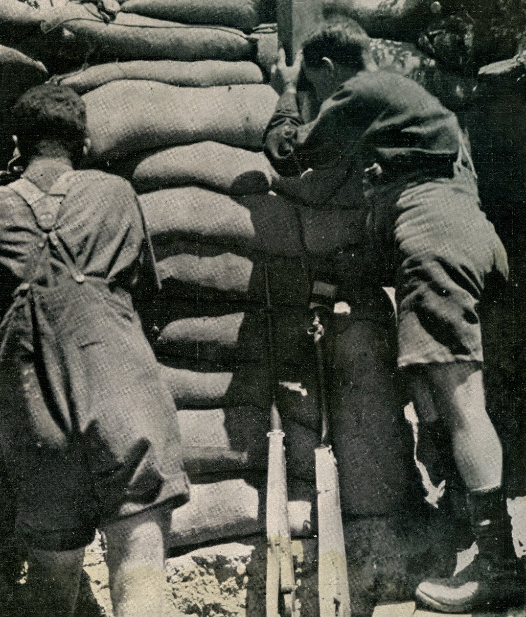 Wojska brytyjskie walczące w spodenkach Khaki-drill, Półwysep Gallipoli autorstwa Unbekannt