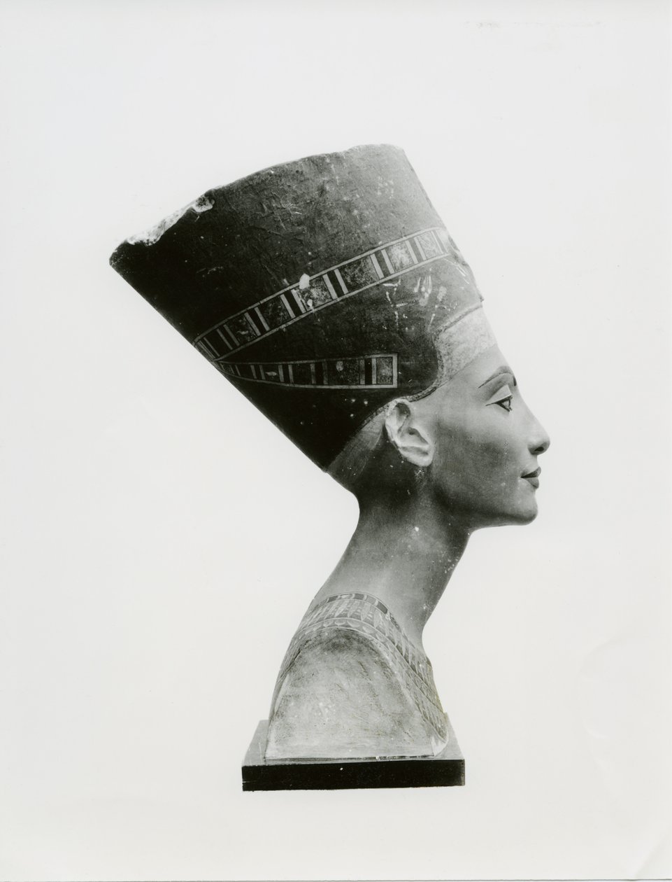 Popiersie królowej Nefretete, widok z boku, kopia popiersia w Muzeum Aegyptisches, SMPK, Berlin (malowany wapień) (zdjęcie czarno-białe) (zob. też 114018-20) autorstwa Unbekannt