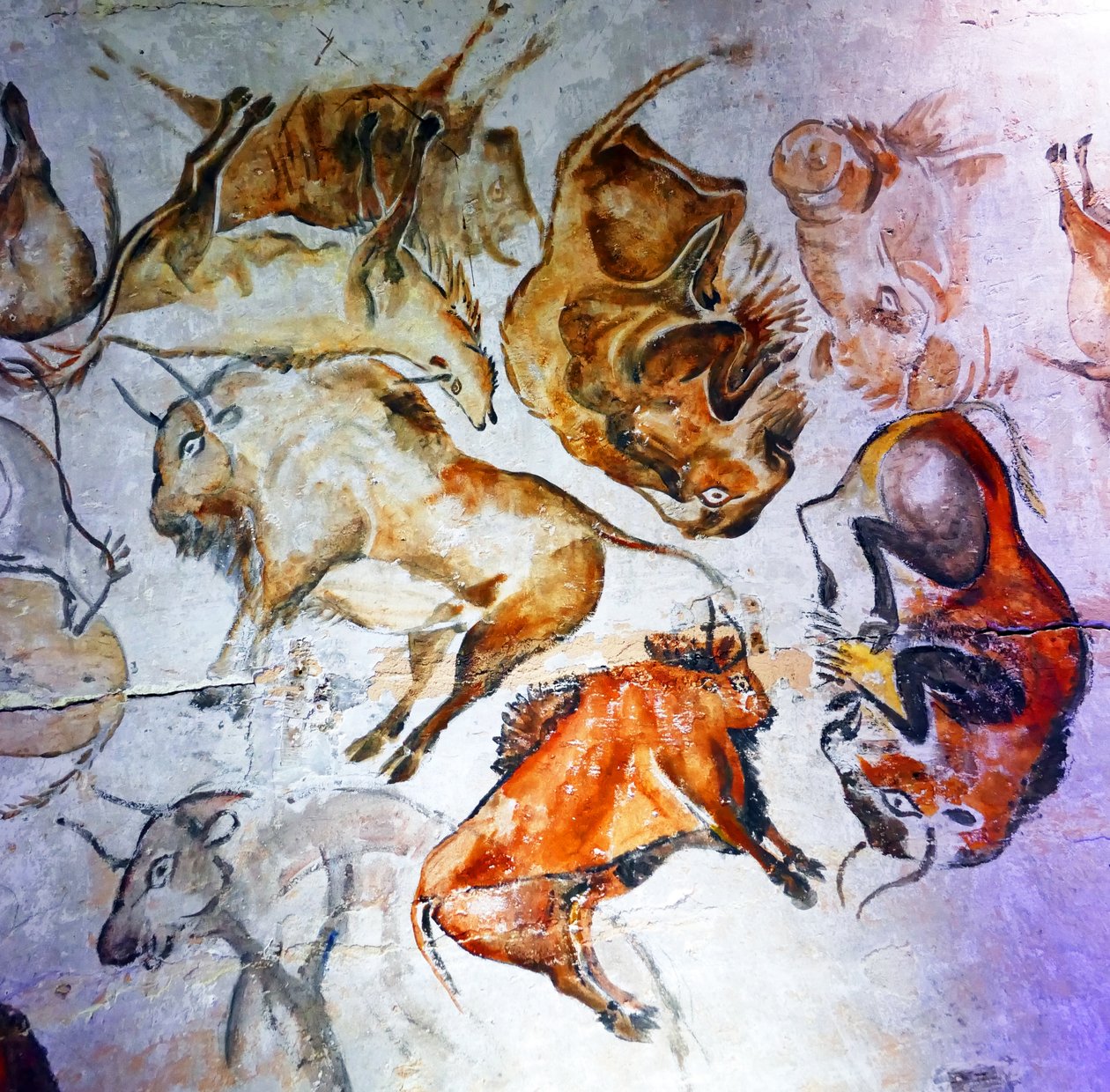 Наскальные рисунки, найденные в пещере Альтамира (фото)пол. autorstwa Unbekannter Künstler