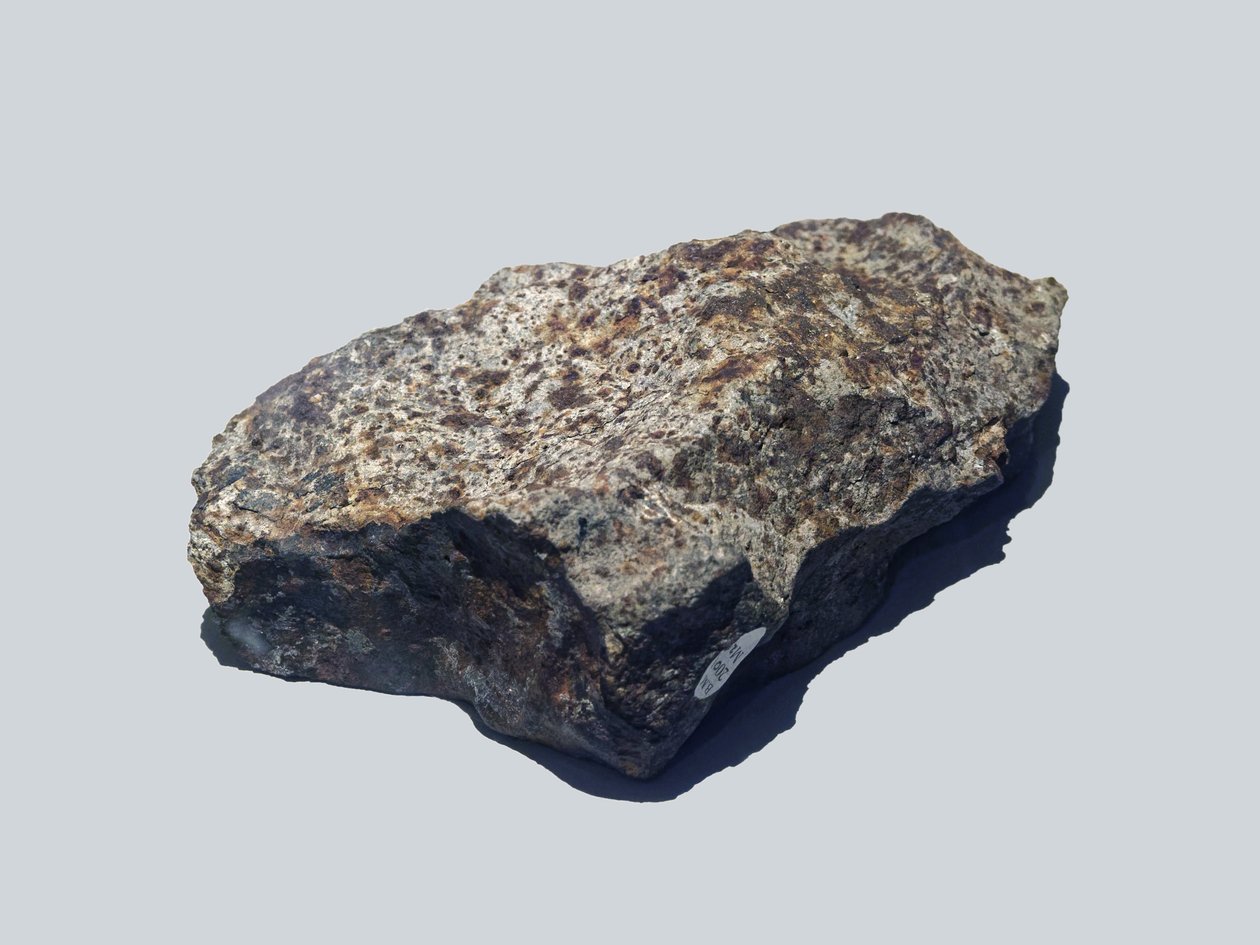 Zwykły chondryt (L5). Tombe en Valera (Wenezuela) w 1972 r. Muzeum Historii Naturalnej w Londynie. autorstwa Unbekannt