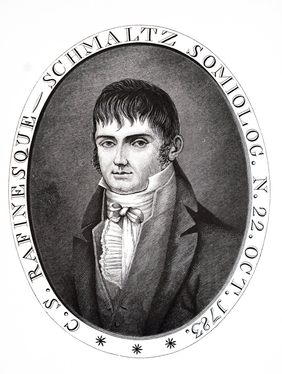 Konstantyn Samuel Felder. autorstwa Unbekannt
