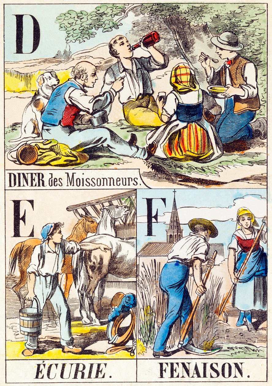D E F: Diner des Moissonneurs, Ecurie, Fenaison - „Alfabet farmy” koniec XIX wieku (rycina) autorstwa Unbekannt