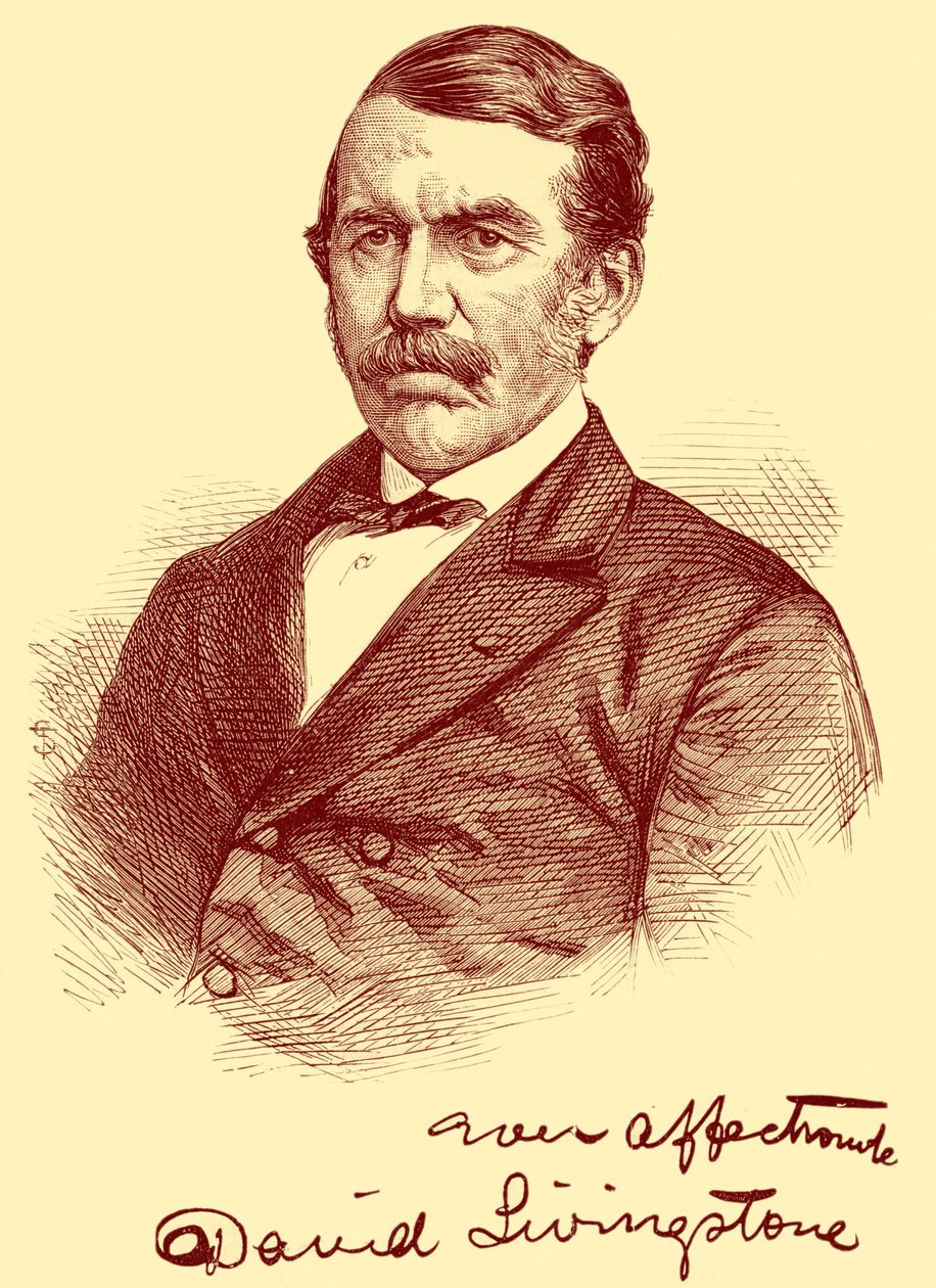 Davida Livingstone