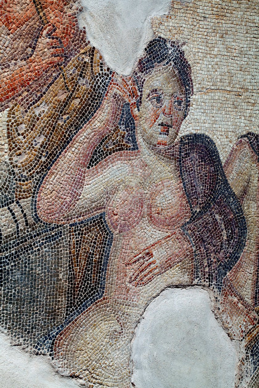 Detal panelu przedstawiającego Ledę, królową Sparty, w towarzystwie lacedemońskich dziewcząt, podczas kąpieli w rzece Eurotas - zbliża się do niej Zeus w przebraniu łabędzia - Mozaiki z Pafos, Dom Aiona, III w. n.e. - Cypr - D autorstwa Unbekannter Künstler