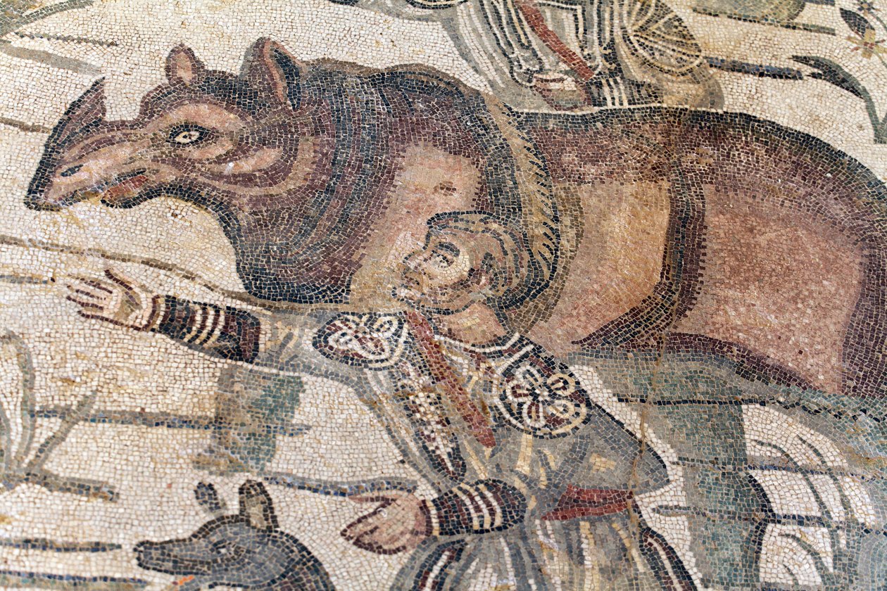 Szczegóły wielkiej mozaiki polowania. Nosorożec jest wprowadzany na łódź, aby przetransportować go do najbliższego portu. III - IV wiek. Rzymska willa Casale, Sycylia. UNESCO. autorstwa William M. Timlin