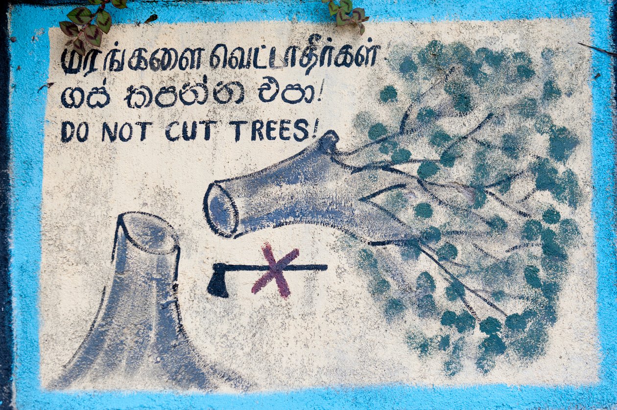 Ochrona środowiska; malowany znak; „”” Nie ścinaj drzew””””” przedstawiający ścięte drzewo i przekreśloną siekierę; Nuwara Elija; Sri Lanka; Azja autorstwa Unbekannt