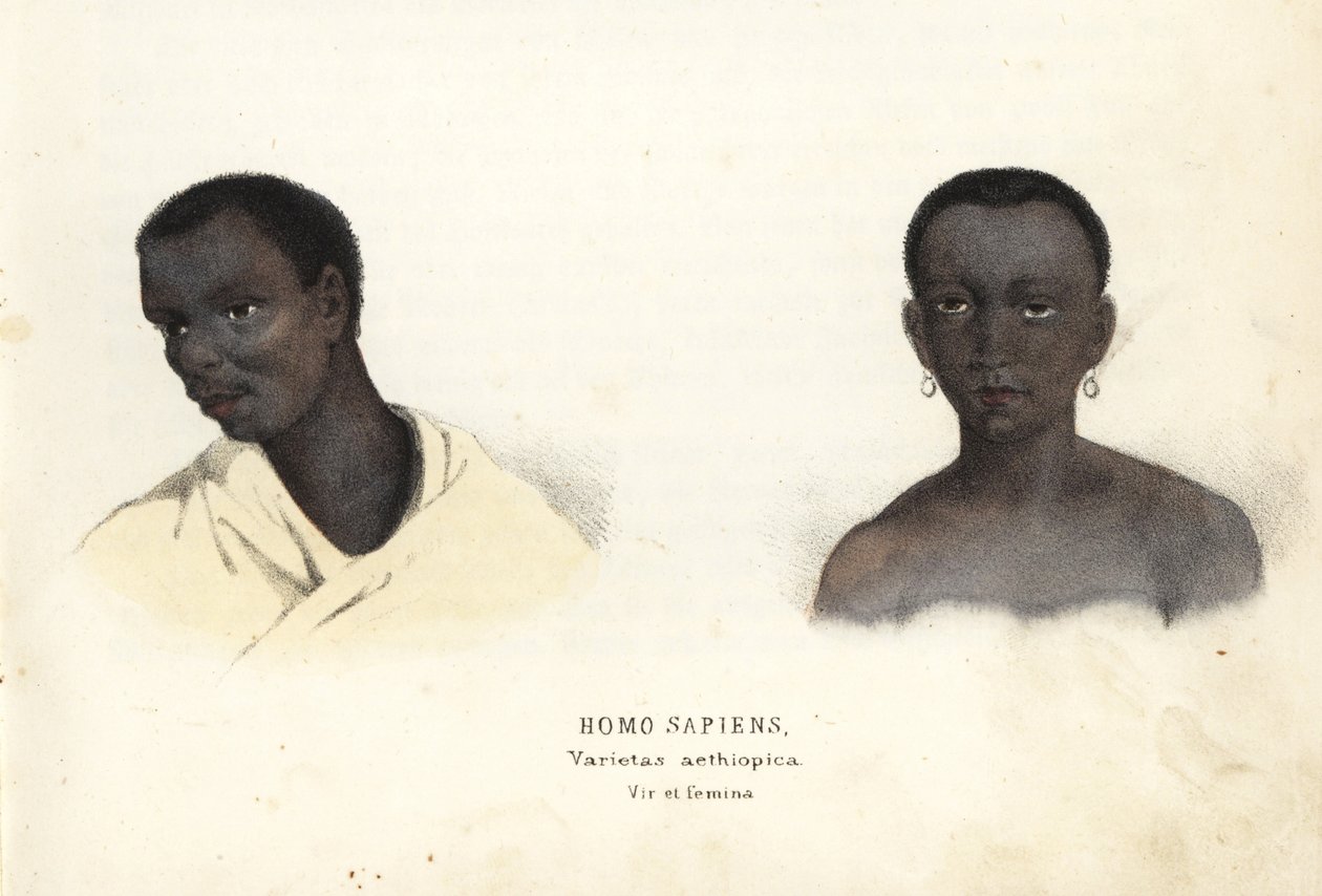 Etiopski mężczyzna i kobieta. Ręcznie kolorowany staloryt z Galerii Historii Naturalnej Georga Friedricha Treitschke, Naturhistorischer Bildersaal des Thierreiches, Liepzig-1842. autorstwa Unbekannter Künstler