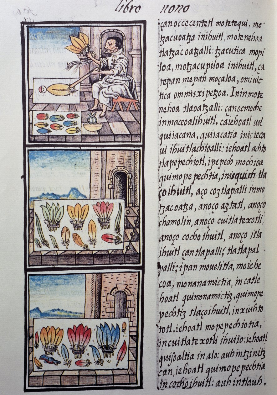 Obróbka piór po podboju hiszpańskim, strona z Kodeksu florenckiego, dwujęzyczna wersja w języku hiszpańskim i nahuatl, Ogólna historia rzeczy w Nowej Hiszpanii, autorstwa hiszpańskiego misjonarza Fray Bernardino de Sahagun. Cywilizacja Azteków autorstwa William M. Timlin